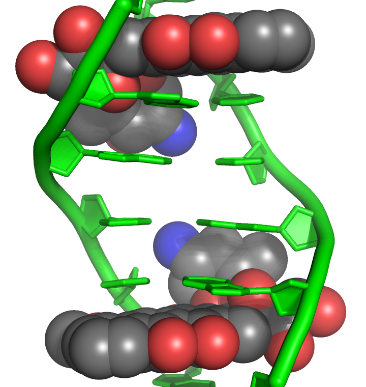 Doxorubicin intercalation